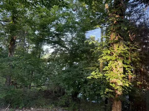 View/Area - 546 Sellars Rd, Nancy, KY 42544 photo 1 of 10