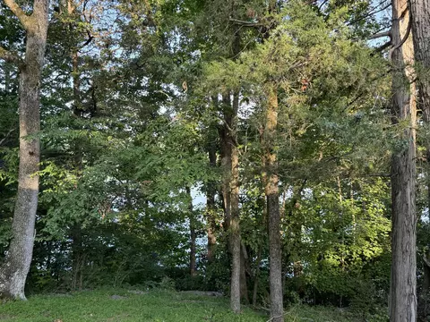 Other - 546 Sellars Rd, Nancy, KY 42544 photo 2 of 3
