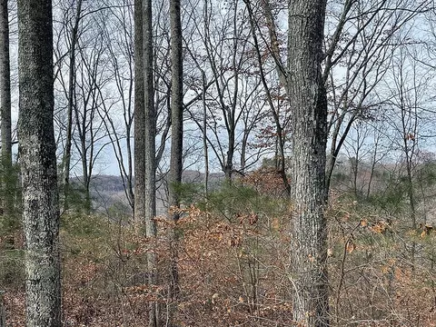 lot84 Stillwater, Russell Springs, KY 42642