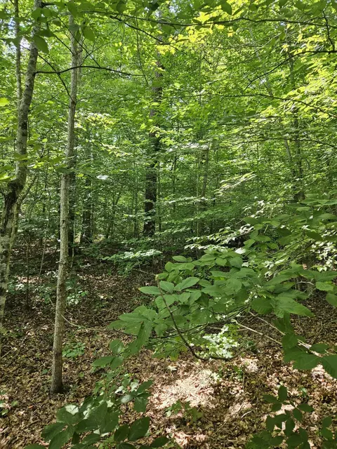 000 Hites Crk, Middleburg, KY 42541
