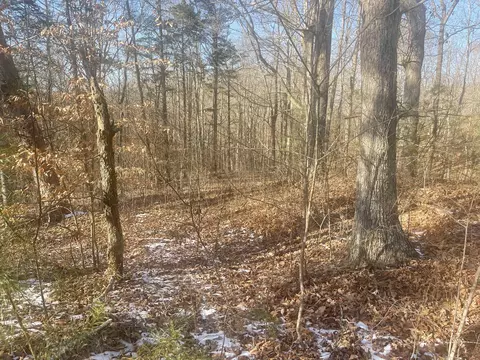 lot2 Cumberland Shrs, Monticello, KY 42633
