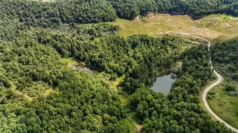 9999 Terrell Hollow Rd, Rockholds, KY 40759
