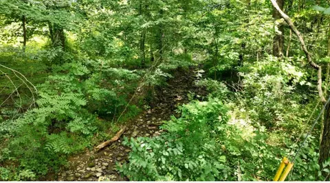 43 Huckleberry Drive, Science Hill, KY 42553