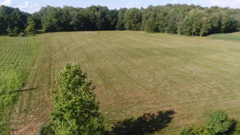 579 Singleton Rd, Eubank, KY 42567 photo 3
