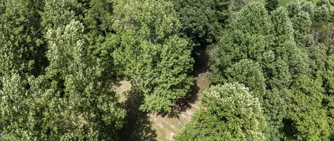 View/Area - 500 Rogers Rd, Corbin, KY 40701 photo 1 of 4