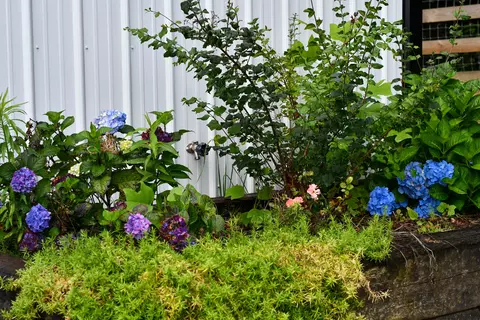 Other - 500 Rogers Rd, Corbin, KY 40701 photo 3 of 7