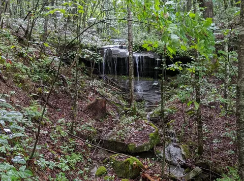 Other - 1824 Kingtown Rd, Strunk, KY 42649 photo 15 of 16
