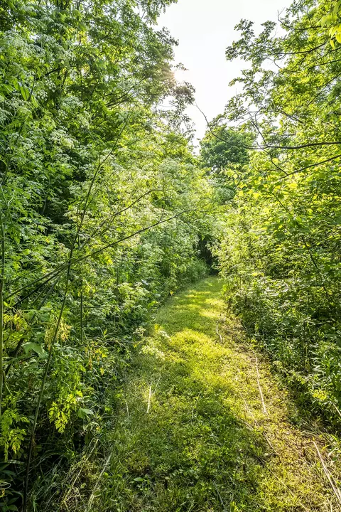 162 Johnstone Trl, Georgetown, KY 40324 photo 40