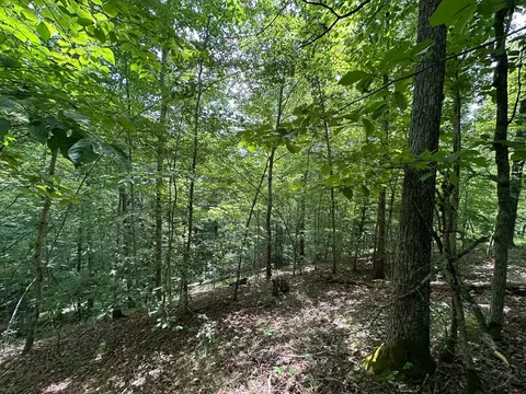 Exterior - 24 Fields Branch Road Grayson # A, Grayson, KY 41143 photo 15 of 28