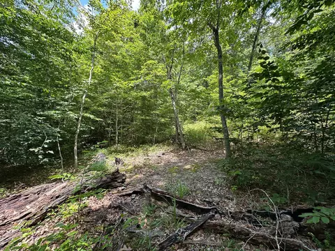 Exterior - 24 Fields Branch Road Grayson # A, Grayson, KY 41143 photo 12 of 28