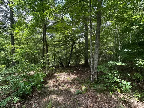 Exterior - 24 Fields Branch Road Grayson # A, Grayson, KY 41143 photo 28 of 28