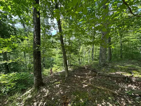Exterior - 24 Fields Branch Road Grayson # A, Grayson, KY 41143 photo 27 of 28
