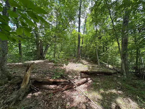Exterior - 24 Fields Branch Road Grayson # A, Grayson, KY 41143 photo 16 of 28
