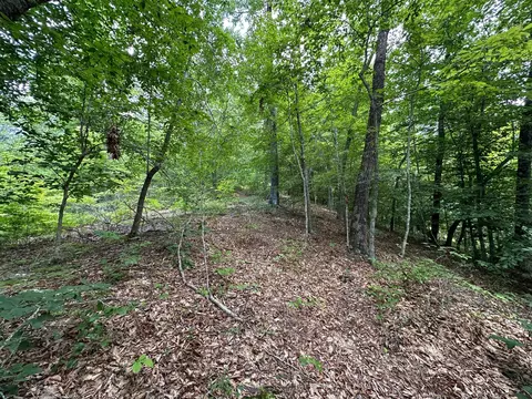 Exterior - 24 Fields Branch Road Grayson # A, Grayson, KY 41143 photo 14 of 28