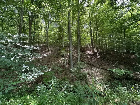 Exterior - 24 Fields Branch Road Grayson # A, Grayson, KY 41143 photo 20 of 28
