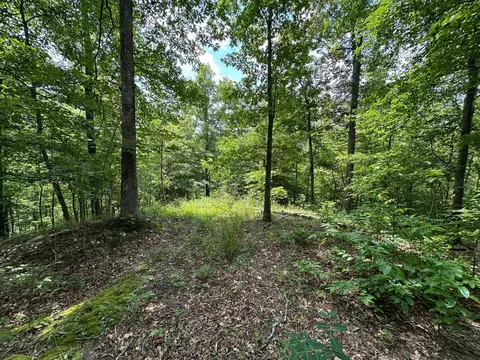 Exterior - 24 Fields Branch Road Grayson # A, Grayson, KY 41143 photo 11 of 28