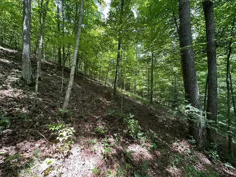 Exterior - 24 Fields Branch Road Grayson # A, Grayson, KY 41143 photo 17 of 28