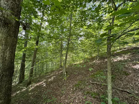 Exterior - 24 Fields Branch Road Grayson # A, Grayson, KY 41143 photo 23 of 28