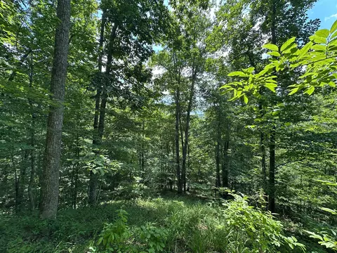 Exterior - 24 Fields Branch Road Grayson # A, Grayson, KY 41143 photo 26 of 28