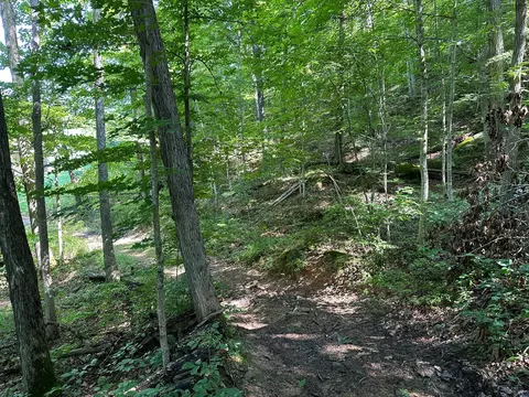 Other - 24 Fields Branch Road Grayson # A, Grayson, KY 41143 photo 7 of 10