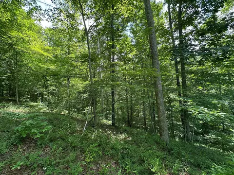 Exterior - 24 Fields Branch Road Grayson # A, Grayson, KY 41143 photo 25 of 28