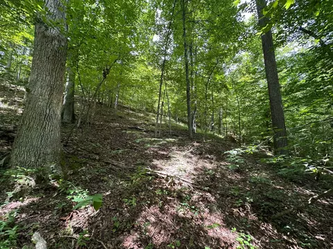 Exterior - 24 Fields Branch Road Grayson # A, Grayson, KY 41143 photo 19 of 28