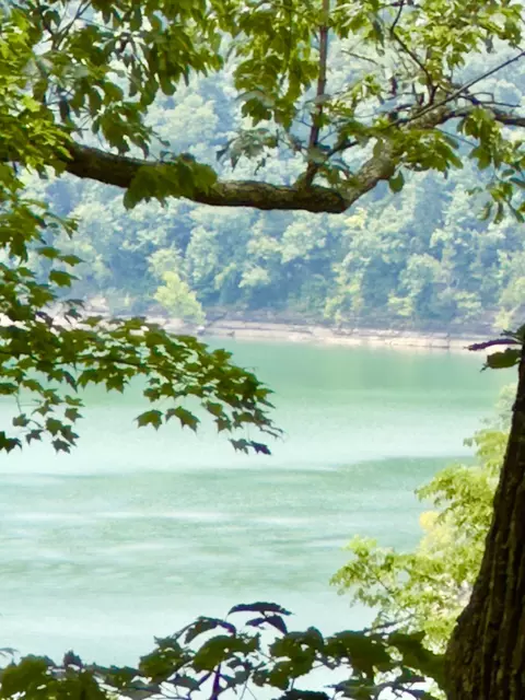 478 Eagles Bluff Rd, Monticello, KY 42633