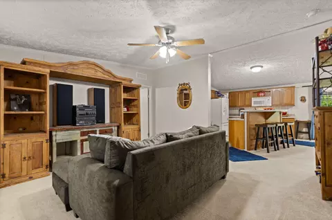 Living - 586 Spruce St, Burnside, KY 42519 photo 3 of 7