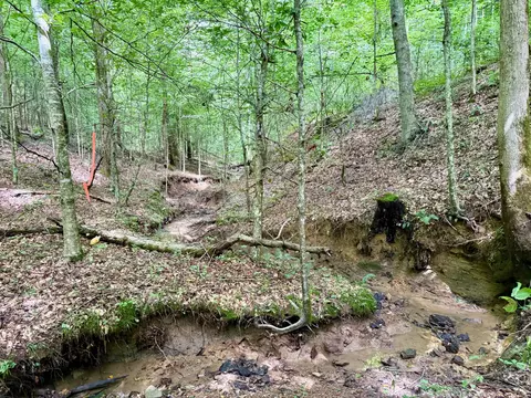 00 Coal Branch Rd, Beattyville, KY 41311