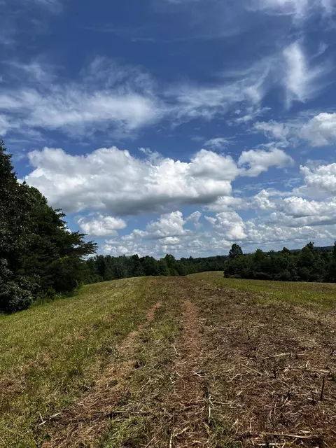 0 Montgomery Rd, Ezel, KY 41425 photo 5