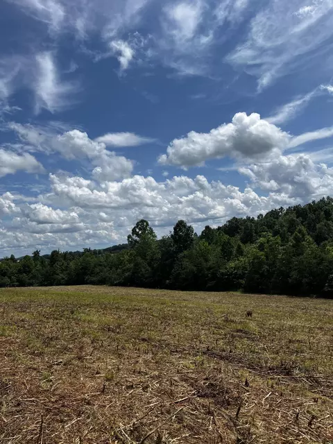 0 Montgomery Rd, Ezel, KY 41425 photo 3