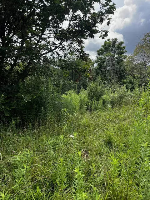 1998 Minor Rd, West Liberty, KY 41472