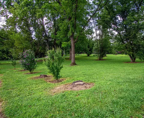 86 E Wyrick St, Corbin, KY 40701 photo 4