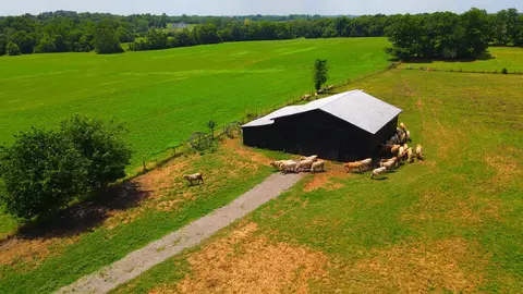 999 Silas Rd, Cynthiana, KY 41031