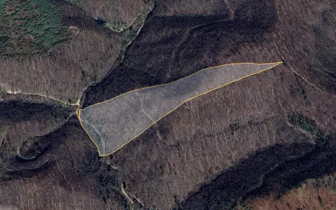 0 Emily Creek Rd, Pilgrim, KY 41250