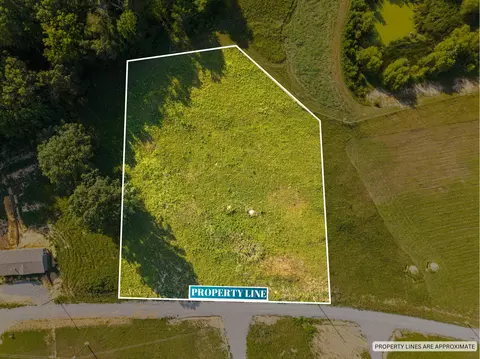 lot38 Spring Branch Hollow Rd, Nancy, KY 42544