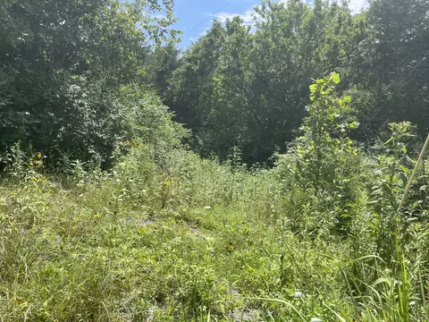 2750 Shadrick Ferry Rd, Frankfort, KY 40601