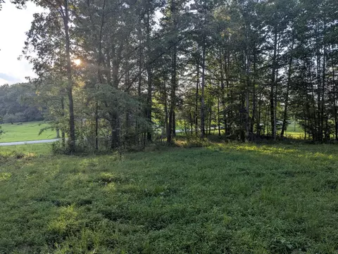 780 Level Green Rd, Corbin, KY 40701 photo 2