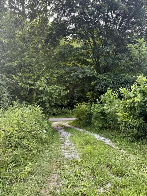 0 Crane Crk, Grayson, KY 41143 photo 15