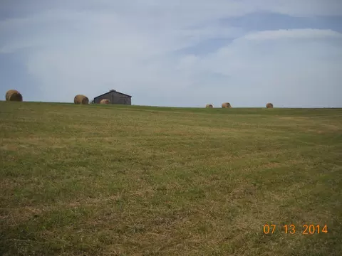 0 Brooksville Powersville Rd, Brooksville, KY 41004
