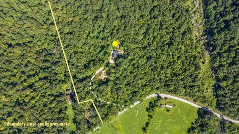 3902 Red Lick Rd, Irvine, KY 40336
