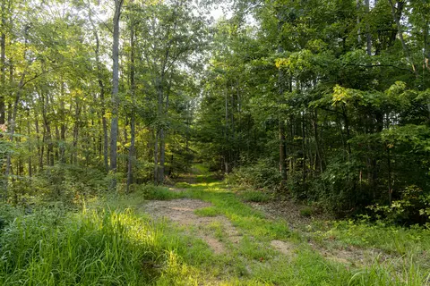 1522 Johnson Fork Rd, Campton, KY 41301 photo 65