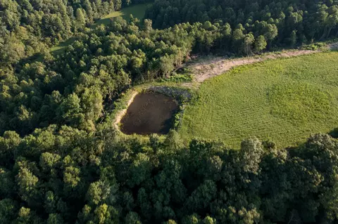 1522 Johnson Fork Rd, Campton, KY 41301 photo 98