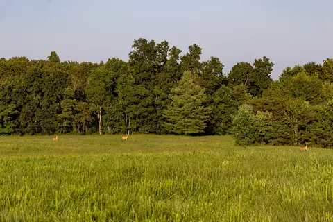 1522 Johnson Fork Rd, Campton, KY 41301 photo 70