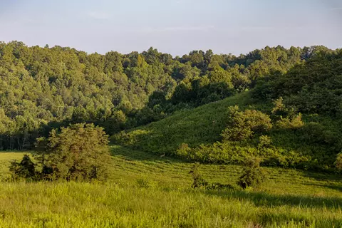 1522 Johnson Fork Rd, Campton, KY 41301 photo 69