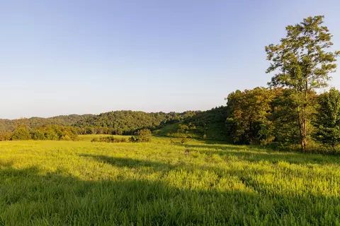 1522 Johnson Fork Rd, Campton, KY 41301 photo 68
