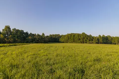 1522 Johnson Fork Rd, Campton, KY 41301 photo 67