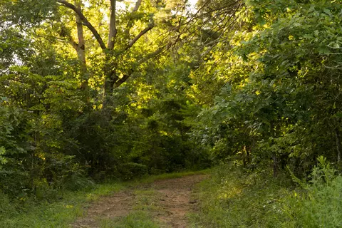 1522 Johnson Fork Rd, Campton, KY 41301 photo 63