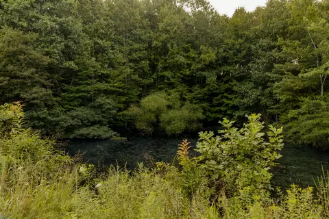 1522 Johnson Fork Rd, Campton, KY 41301 photo 74