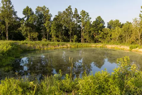 1522 Johnson Fork Rd, Campton, KY 41301 photo 72